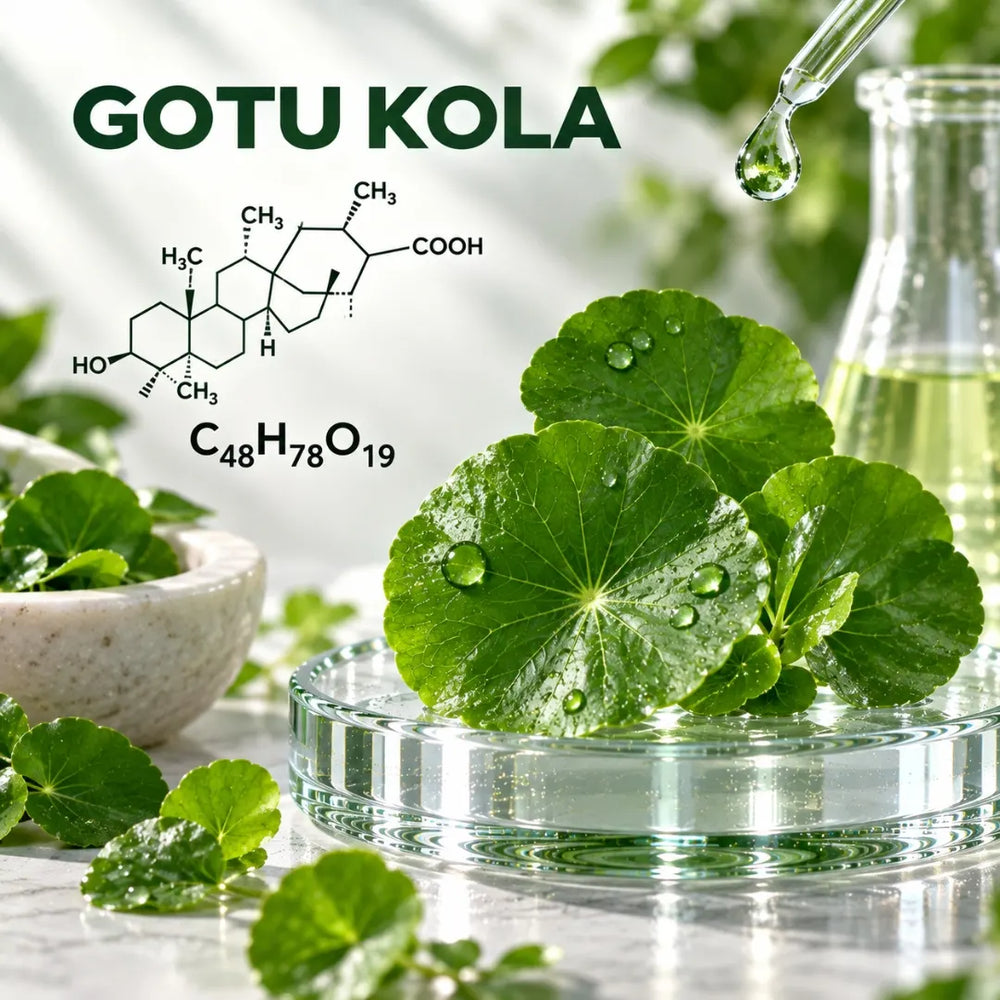 GOTU KOLA